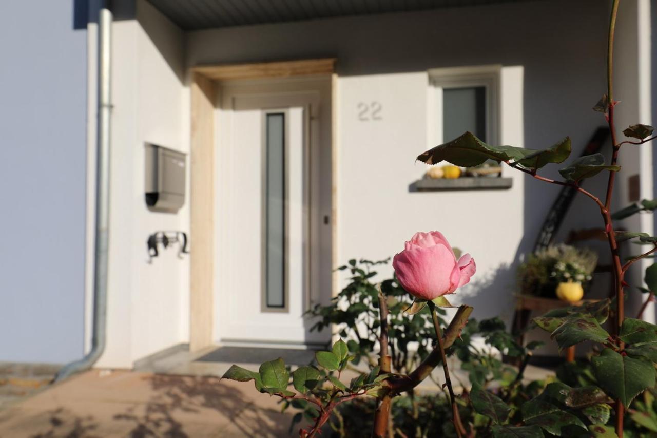 Ferienwohnung Ankerplatz 摩泽尔河畔的泽尔 外观 照片